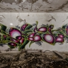 Graffiti12